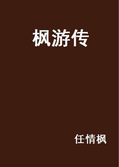 枫游传 枫游网络的创业史诗与数字梦想